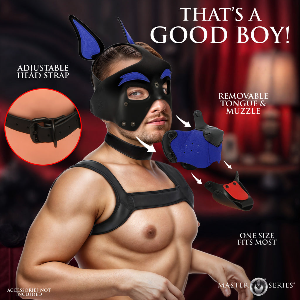 Alpha Dog Pup Hood