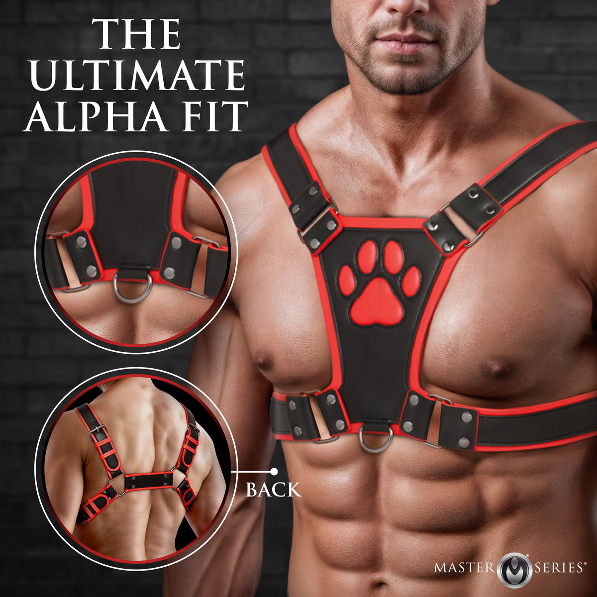 Alpha Pup Bulldog Harness