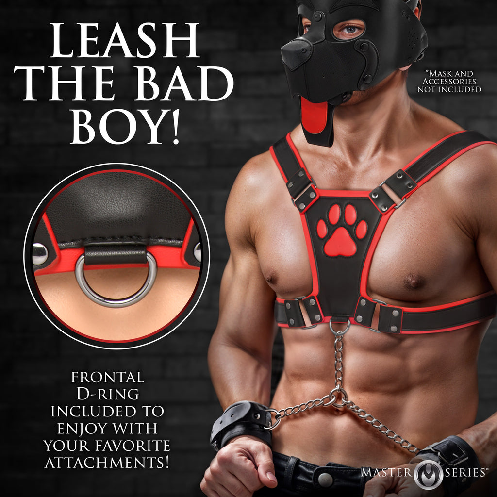 Alpha Pup Bulldog Harness