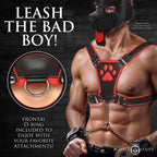 Alpha Pup Bulldog Harness