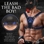 Alpha Pup Bulldog Harness