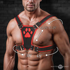 Alpha Pup Bulldog Harness
