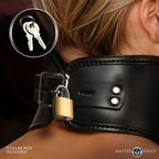 Brass Collar Padlock