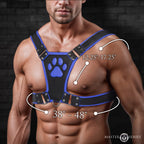 Alpha Pup Bulldog Harness
