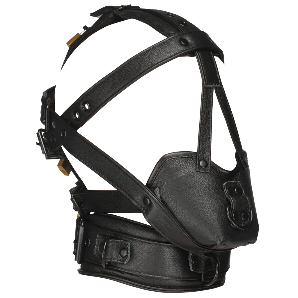 Leather Head Harness with Muzzle