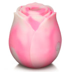 The Rose Lovers Gift Box - Pink Swirl
