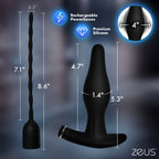 Inflatable Anal Plug and Urethral Sound E-Stim Kit