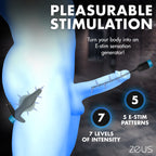 Inflatable Anal Plug and Urethral Sound E-Stim Kit