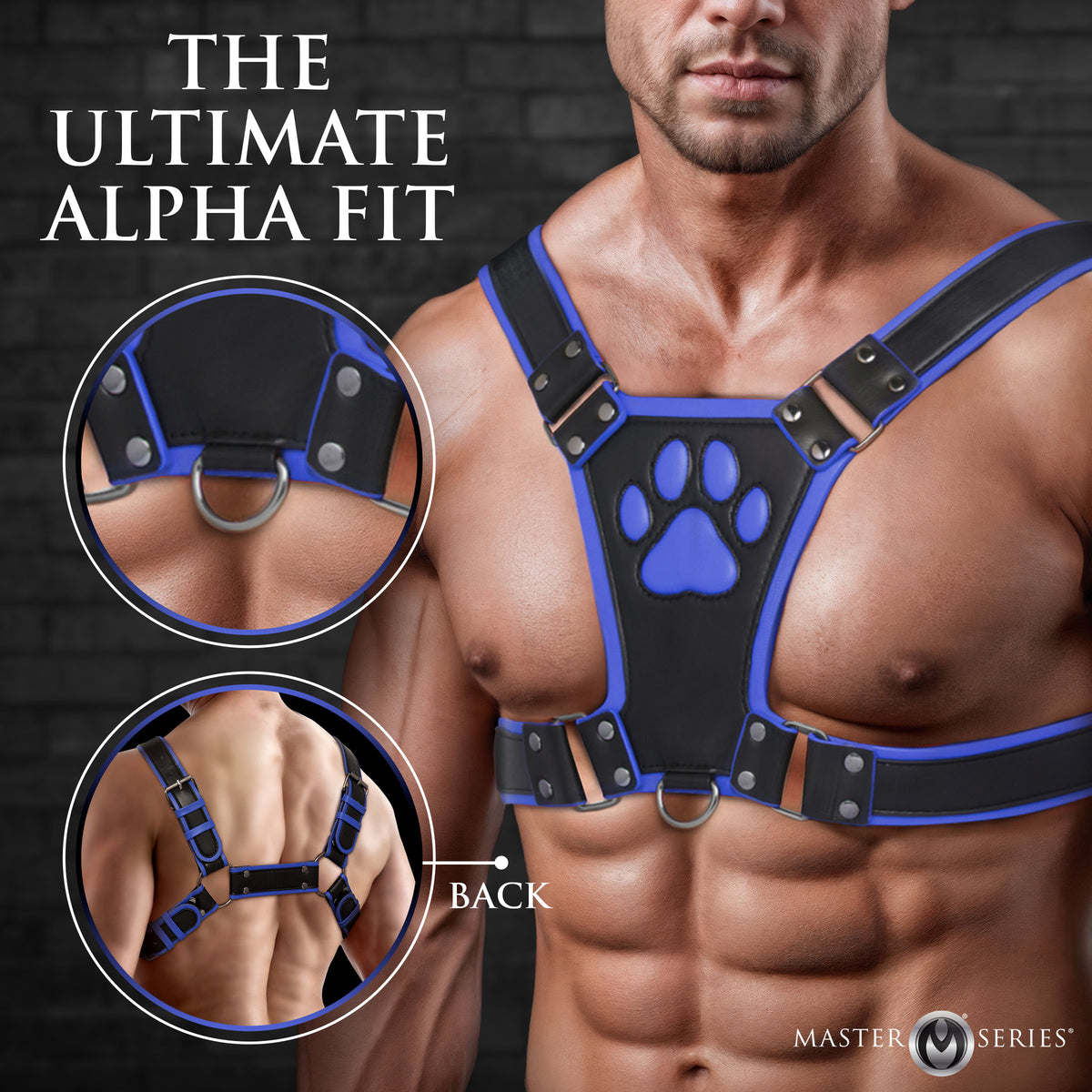 Alpha Pup Bulldog Harness