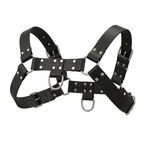 English Bull Dog Harness