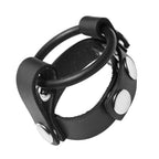 Cock Ring Harness