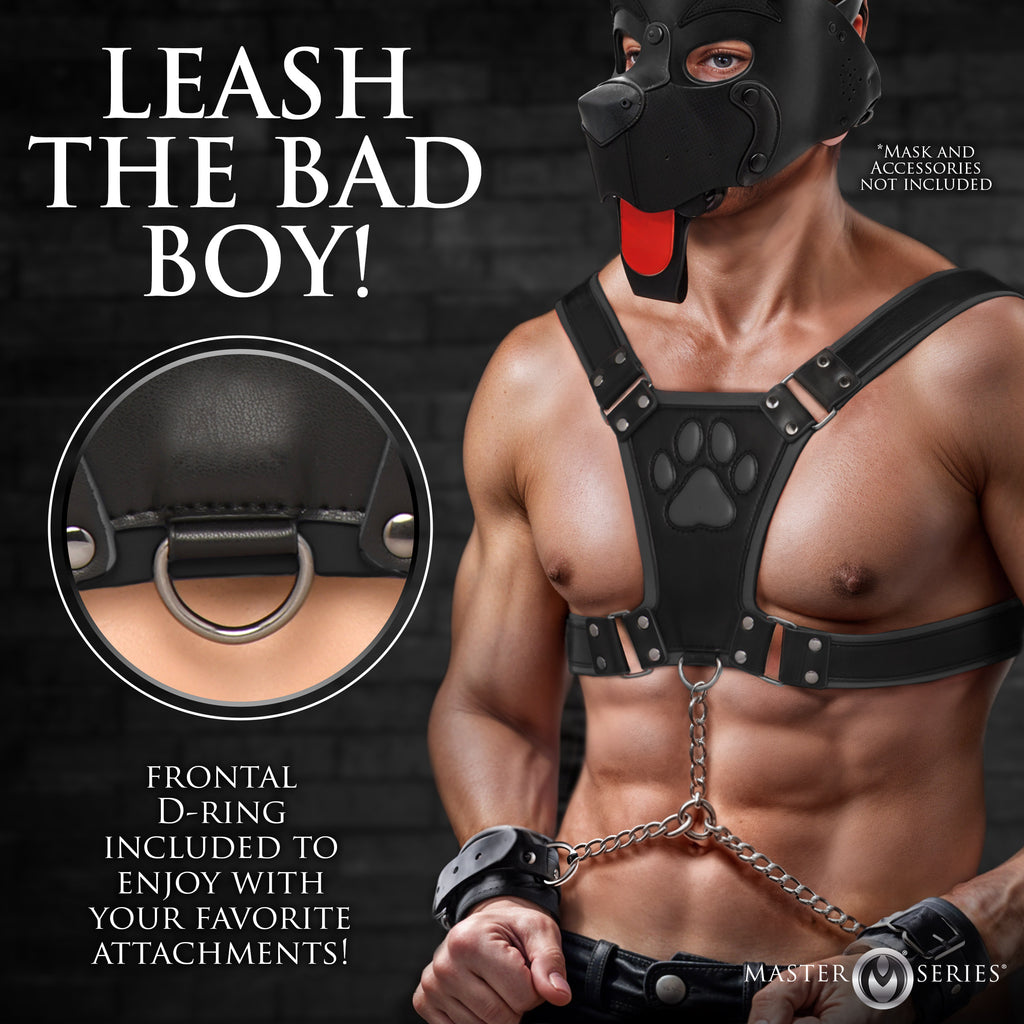 Alpha Pup Bulldog Harness